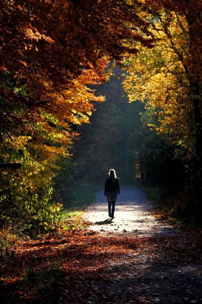 O que significa perceber as nuances da vida?