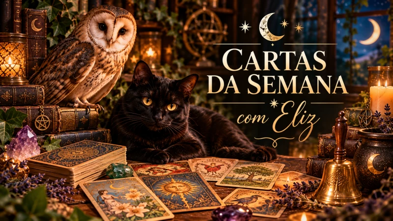 Cartas selecionadas por Eliz | Tarô de Marselha